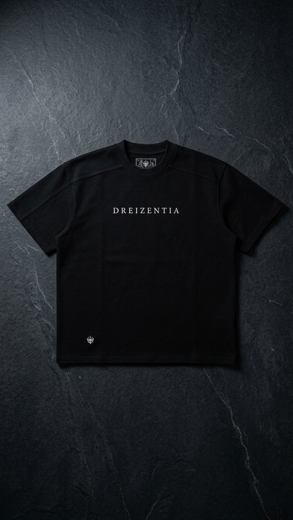 Schwarzes DREIZENTIA Essential Raw Herren-T-Shirt als Produktfoto auf dunklem Schiefer